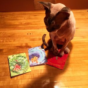 A Very Satisfied Customer!!!