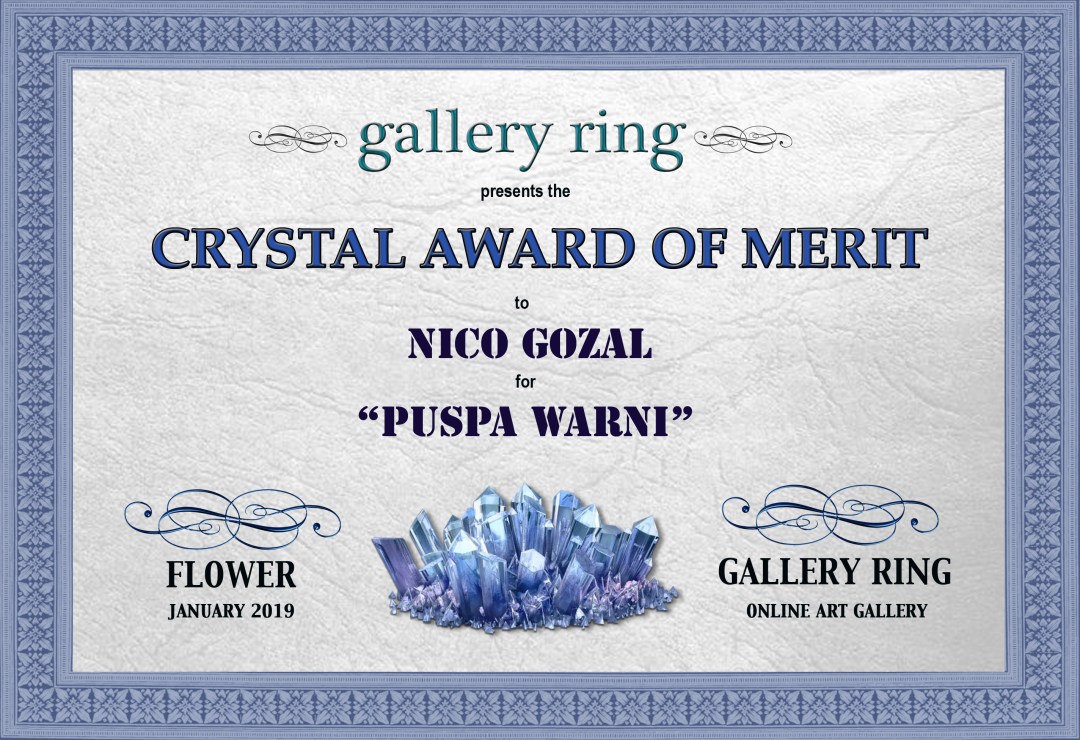 crystal award of merit-certificate-ng